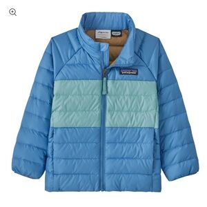 Patagonia Baby •  Down Sweater • 2T • EUC